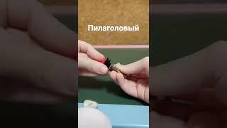 Пилаголовый