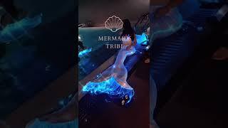 #shorts #mermaid #ledmermaidtail