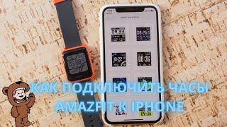 Как подключить часы Amazfit (умные) к Iphone (Айфону)?