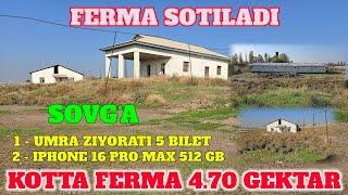 FERMA SOTILADI 4.70 GEKTAR 60.000$ XALODILNIK UMRA BILETI 5 TA IPHONE 16 PRO MAX  2 TA  KAMENTGA 