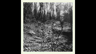 topographies - Interior Spring (Full Album)