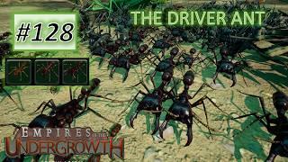 Empires of the Undergrowth #128: Driver Ant Has Arrived