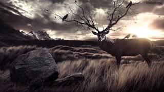 Axl Rosenberg - Into The Wild Chapter II [Pandora Version]