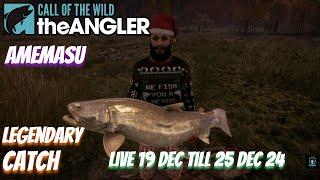 Amemasu live 19 Dec Till 25 Dec 24 #COTWTheAngler