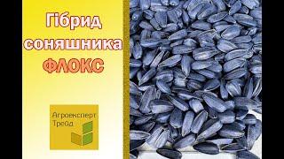 Соняшник Флокс , опис гібриду  - насіння в Україні