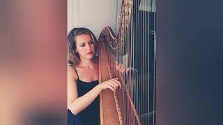 Killing me softly harp cover