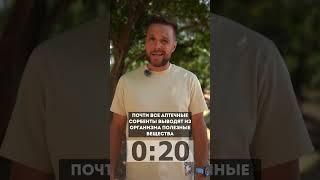 Что такое сорбент за 30 секунд