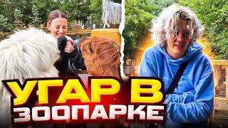 ПАРАДЕЕВИЧ С ДЕВУШКОЙ ГУЛЯЮТ В ЗООПАРКЕ | ПАРАДЕЕВИЧ НАСТУПИЛ В Г*ВНО