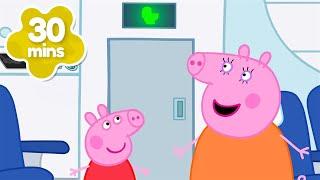 Tiny Toilet On The Plane ️ | Peppa Pig Tales Full Episodes