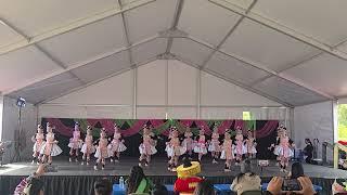 Hmong La Crosse New Year 2024 - Eternal Embers