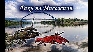 Раки на Миссисипи. Русская Рыбалка.