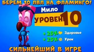 БЕРЕМ ФЛАМИНГО МИЛО 10 ЛВЛ - САМЫЙ СИЛЬНЫЙ ПЕРСОНАЖ В ИГРЕ ZOOBA: Free for all