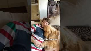 Before getting a second dog watch this first  #goldenretrievers