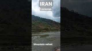 Iran, Lorestan Province, Makhmel Kouh.