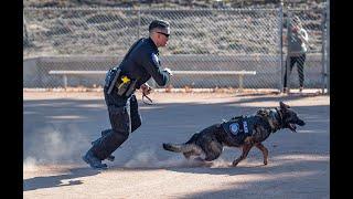 Cops N Kids 2019 Police / Sheriff's K9 Demonstration