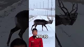 #скинволкер #skinwalker #skinwalkers #скинволкеры
