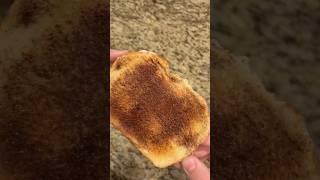 Let’s make Lynja’s level one - two toast!!! ￼