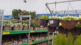 B&M household amazing finds! March 2025 + Garden centre 🪴️