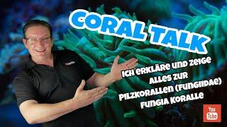 Coral Talk #1 Pilzkorallen Fungiidae ⭐Alles zu den Fungia Korallen⭐