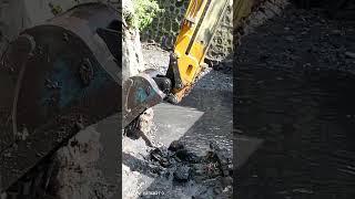 help a dog to the drainage..