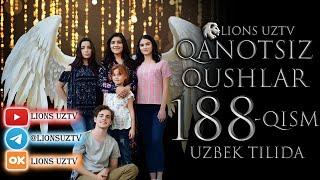 QANOTSIZ QUSHLAR 188 QISM TURK SERIALI UZBEK TILIDA | КАНОТСИЗ КУШЛАР 188 КИСМ УЗБЕК ТИЛИДА