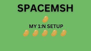 Spacemesh - My 1:N Setup