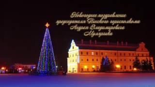 Новогоднее поздравление 2017 председателя Пинского горисполкома А.В.Мулярчика