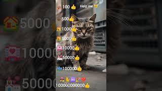 help the cat #cat #cute #kitten #emoji #savethecats #helphim #shortsfeed