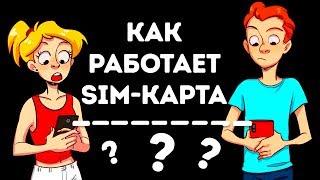 Как на самом деле работают SIM-карты