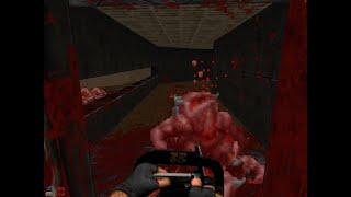 Doom 2 Brutalpatch v2.4 ( The Chasm Map 24 )