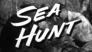 Sea Hunt 1x20 Alligator Story