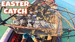 OUR MOST MASSIVE LOBSTER CATCH SINCE 2025‼️#fishing #fish #lobster #adventure