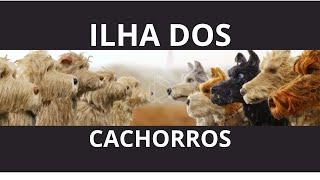 #tvnawebnews Filme Ilha dos Cachorros #barbosayoutuber