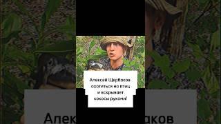 Алексей Щербаков охотится на птиц и вскрывает кокосы руками! #алексейщербаков #камеди #shorts