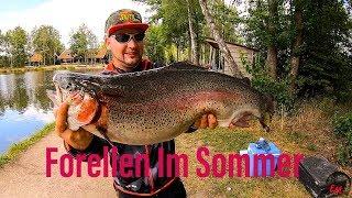 Forellenangeln im Sommer mit Gummi bei WILD NL oder Trout fishing in Holland mit Erwin Meiris