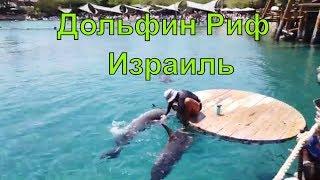 Израиль  ЭЙЛАТ. Красное море.  Дельфиновый Риф