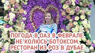 Погода в ОАЭ в феврале. Уколы красоты. Ресторан в Сук Аль Бахар около Бурдж Халифа. Фонтаны в Дубае.