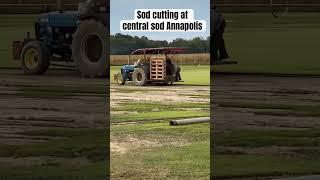 Ever wonder how they cut sod ?