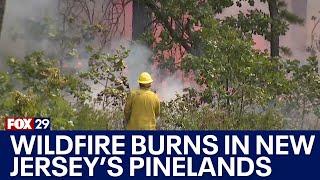 Firefighters make progress containing New Jersey forest fire