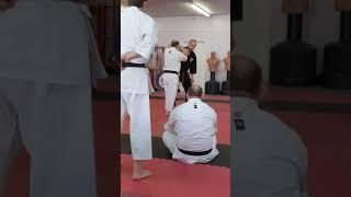 Kyoshi Troy Price Shuri-te Bujutsu-kai(5)