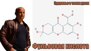 Что такое гуминовая и фульвовая кислота?! Помощь организму