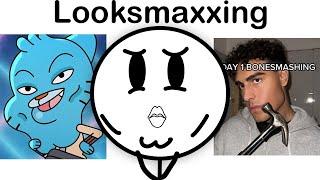 Looksmaxxing Is Getting Dangerous...