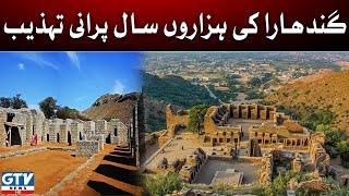 Gandhara Ki Tehzeeb | Gandhara 3000 Yeras Old Civilization | Hazaron Saal Purani Tehzeb |GTV Digital