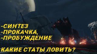 Ожерелье проводника Archeage, краткий гайд!