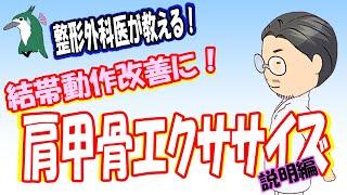 【整形外科医が教える！】結帯動作が苦手な方に！　肩甲骨エクササイズ