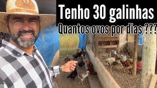 FABRÍCIO LANÇA DESAFIO DAS 30 GALINHAS | QUEM ACERTAR É PORQUE ENTENDE DE ROÇA