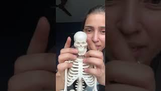 NEET 2024 All Bones in 1 minute -Half Locmotion Chapter Revision in 1 minute