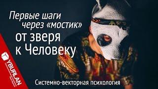 Первые шаги через "мостик" от зверя к Человеку. Системно-векторная психология. Юрий Бурлан