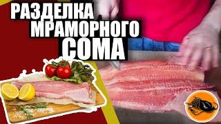 Разделка мраморного сома | Catfish