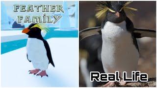 Feather Family In Real Life 9